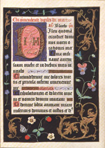 Thott 542 f.125